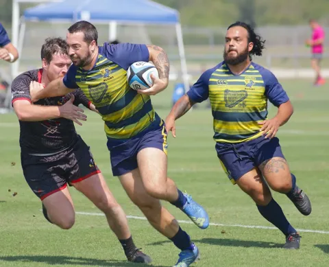 Rugby player in a blue and yellow striped Pelican Rugby jersey charges forward with the ball while fighting off a tackle from a defender